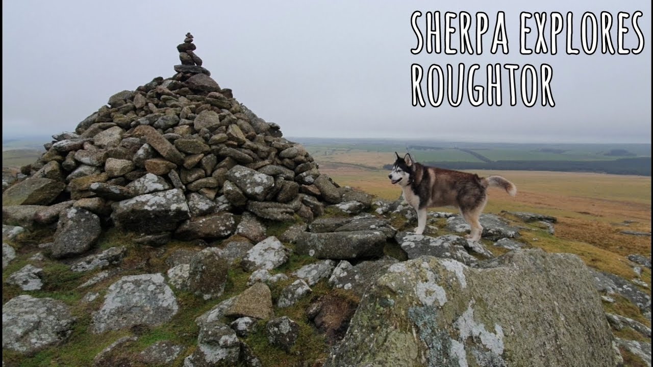 Sherpa climbs and explores Roughtor in Cornwall