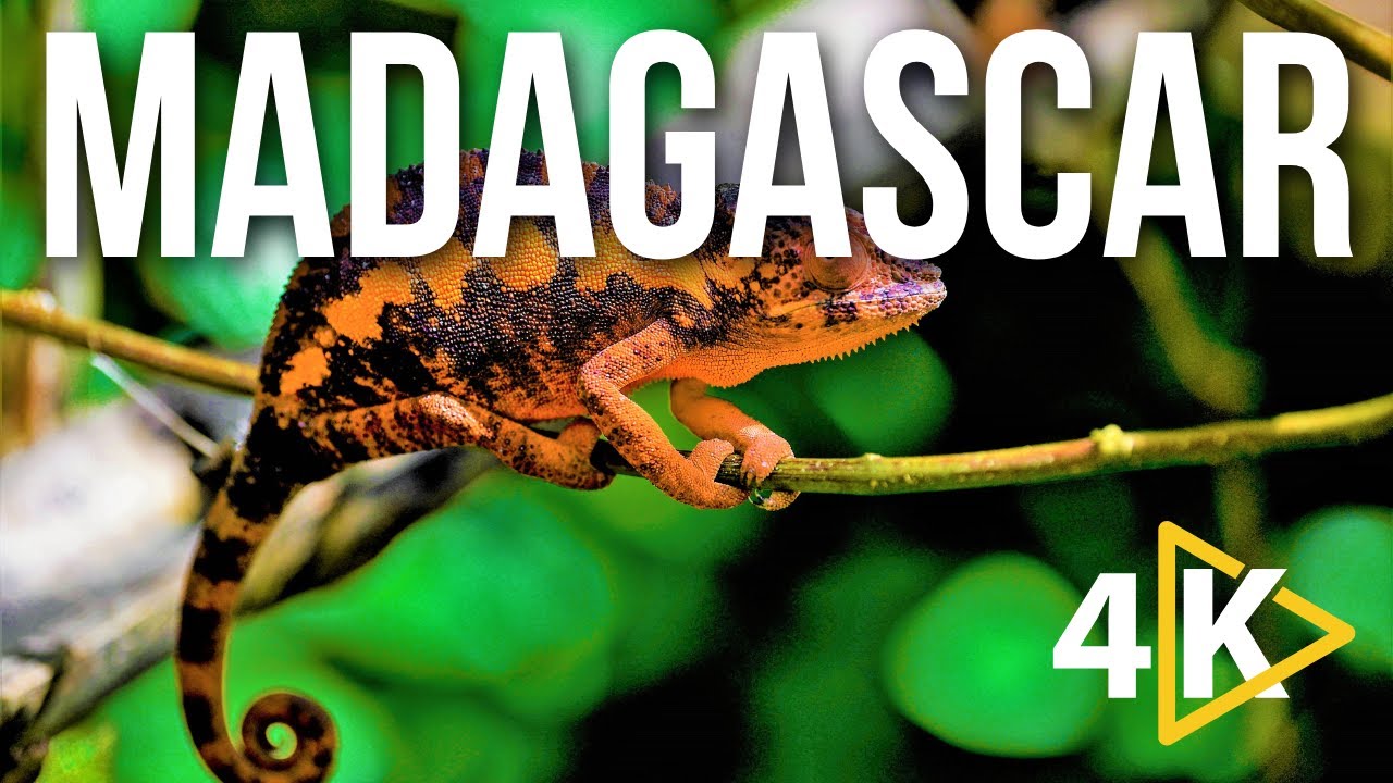 Exploring Madagascar | Wonders of Madagascar | Travel Video 4K