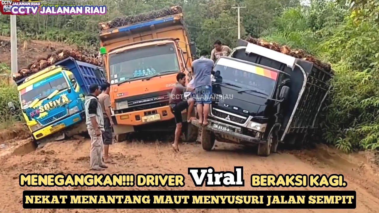 HEBOH SOPIR TRUK SAWIT  NEKAT MENANTANG MAUT MENYUSURI JALAN SEMPIT