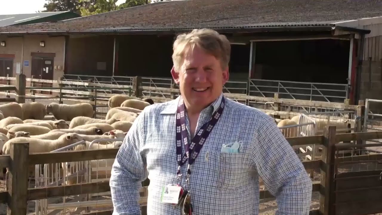 A tour of our Agriculture area mp4