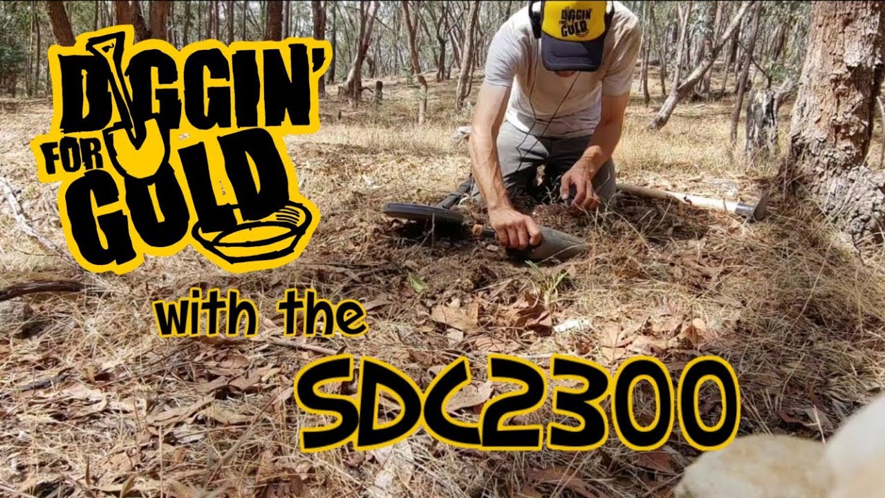 Shallow Workings with the SDC2300 | Aussie Gold Prospecting
