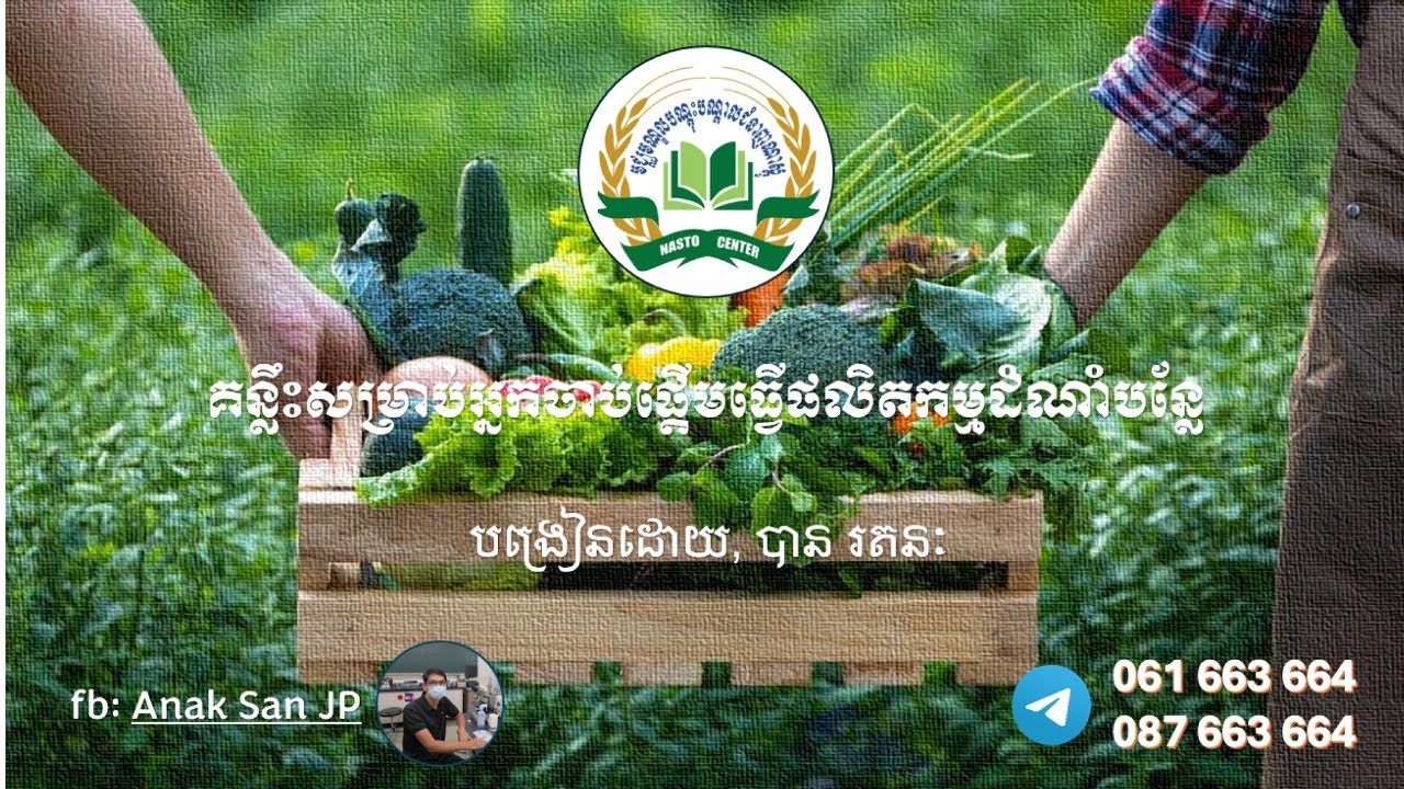 គន្លឹះសម្រាប់អ្នកចាប់ផ្តើមធ្វើផលិតកម្មដំណាំបន្លែ