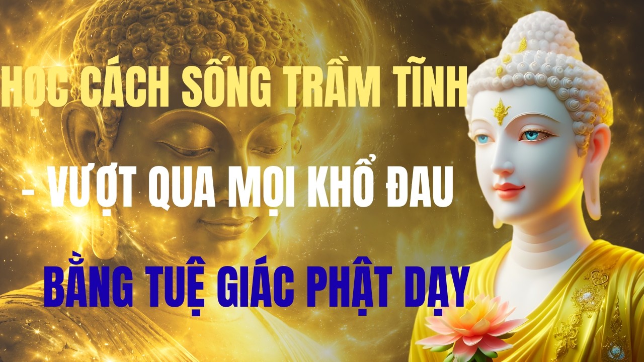 HỌC CÁCH SỐNG TRẦM TĨNH – VƯỢT QUA MỌI KHỔ ĐAU BẰNG TUỆ GIÁC PHẬT DẠY
