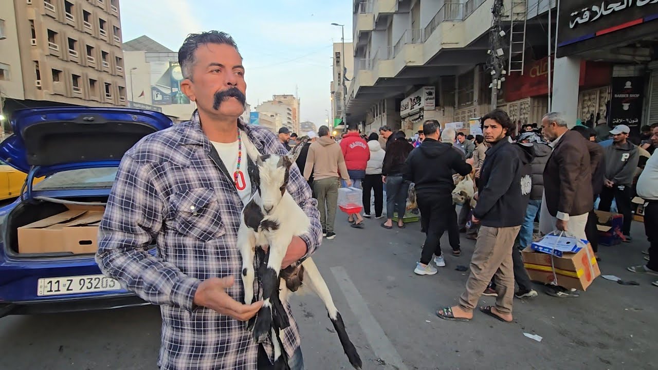سوق الغزل يوم الجمعة انواع الحيوانات والطيور مع الاسعار 13 مارس 2026