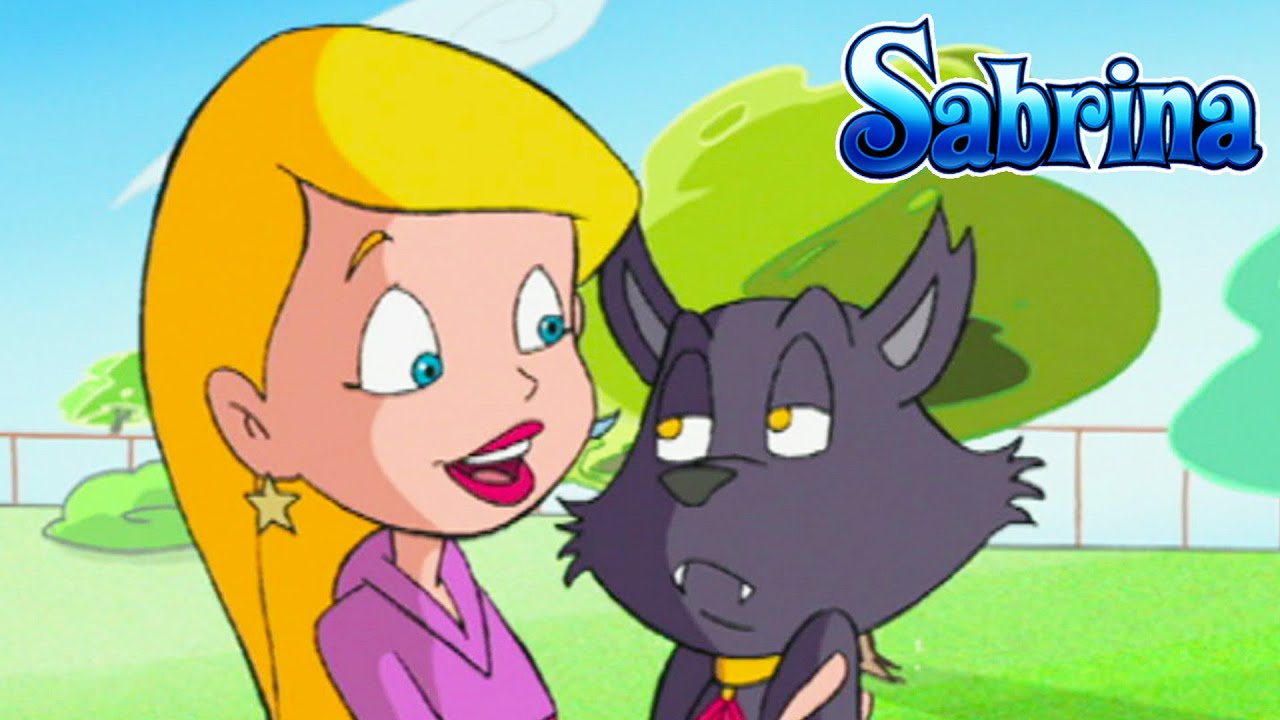Field Trippin' | Sabrina The Teenage Witch - WildBrain | Full HD Episodes