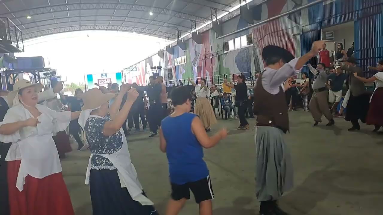 Danza folklore 