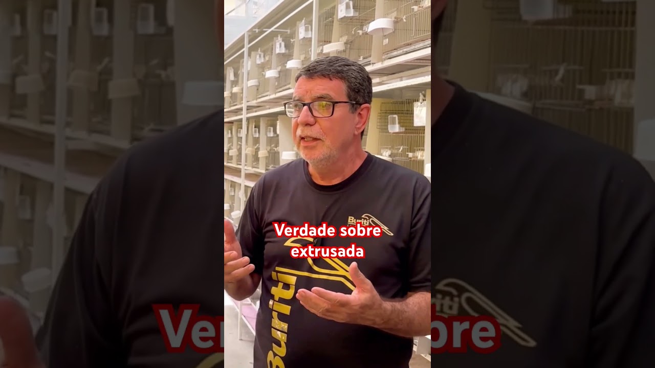 Sr. Oscar do Buriti fala a verdade sobre a extrusada! 🦜🔥 #passaros #coleirosolto #aves