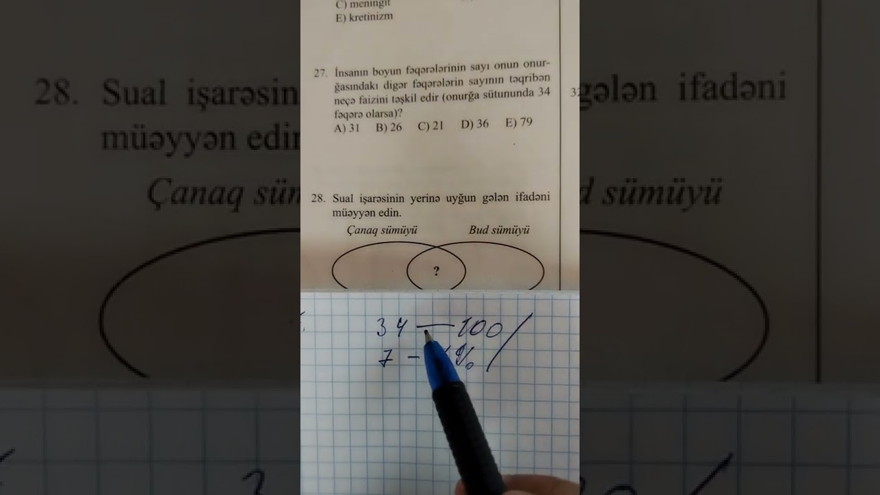 Dayaq - hərəkət aparatı. Güvən nəşriyyatı məsələlərinin həlli.