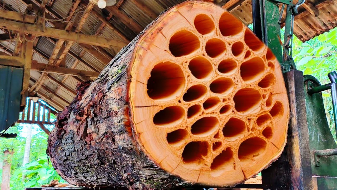 Perfect and full of wonder || Inside the American factory, the world's largest sawmill