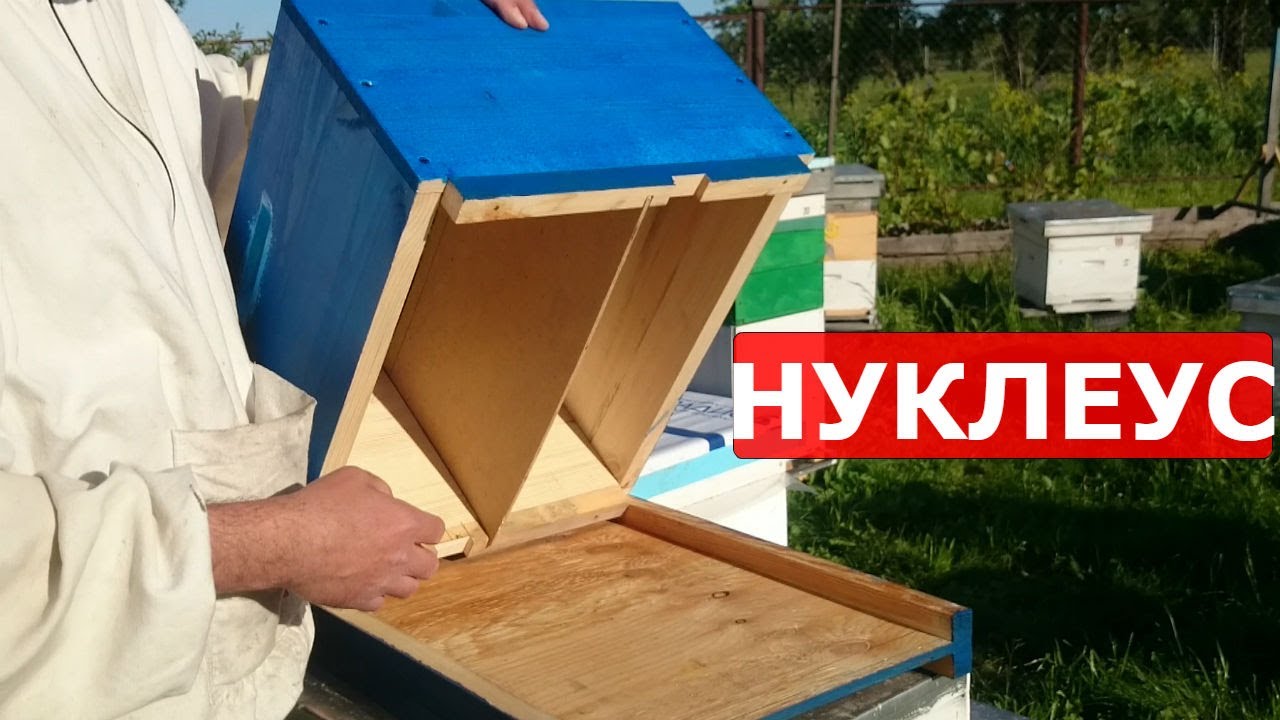 НУКЛЕУС ДЛЯ ПЧЁЛ СВОИМИ РУКАМИ/ СТАНДАРТНАЯ РАМКА 230ММ/пчеловодство 2020