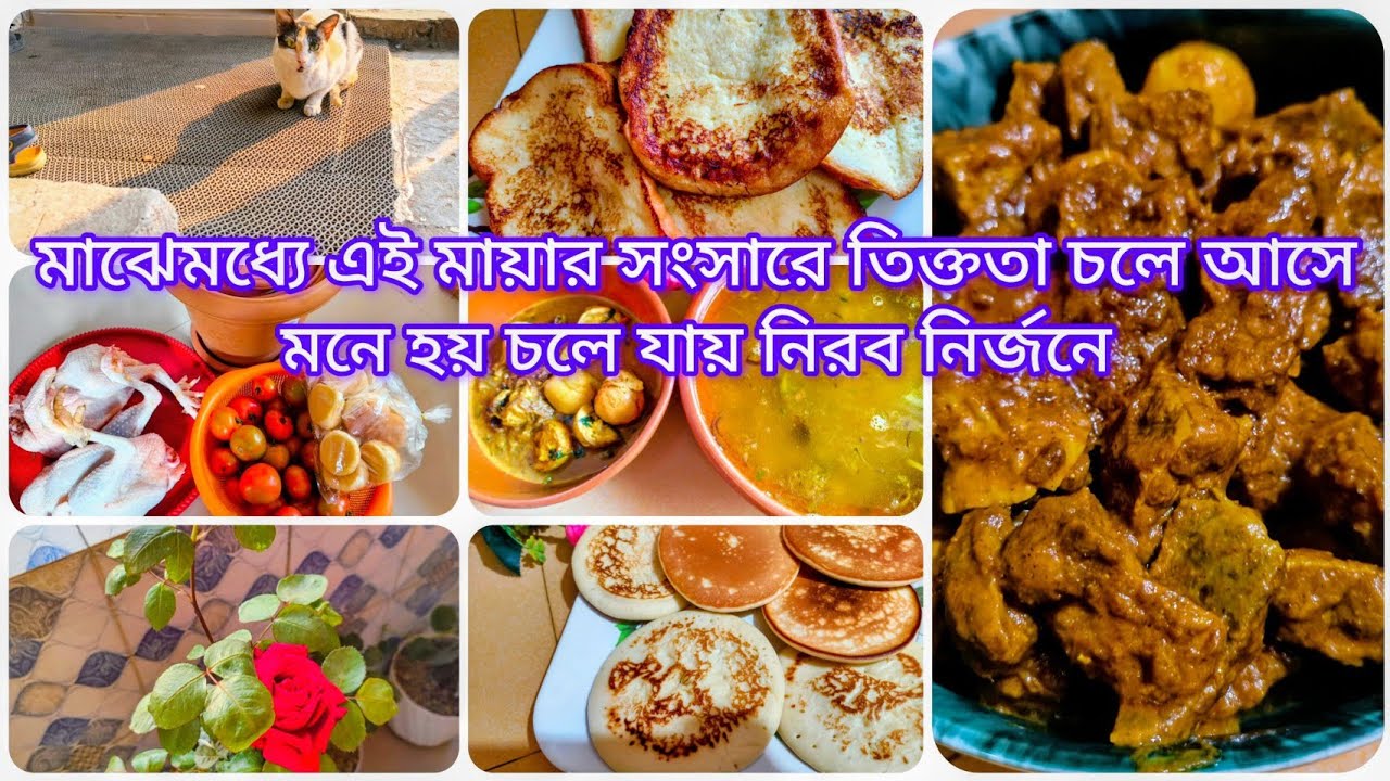 ✨মাঝেমধ্যে এই মায়ার সংসারে তিক্ততা চলে আসে মনে হয় চলে যায় নিরব নির্জনে? 🙂‍↕️Roksana's vlog's 💫