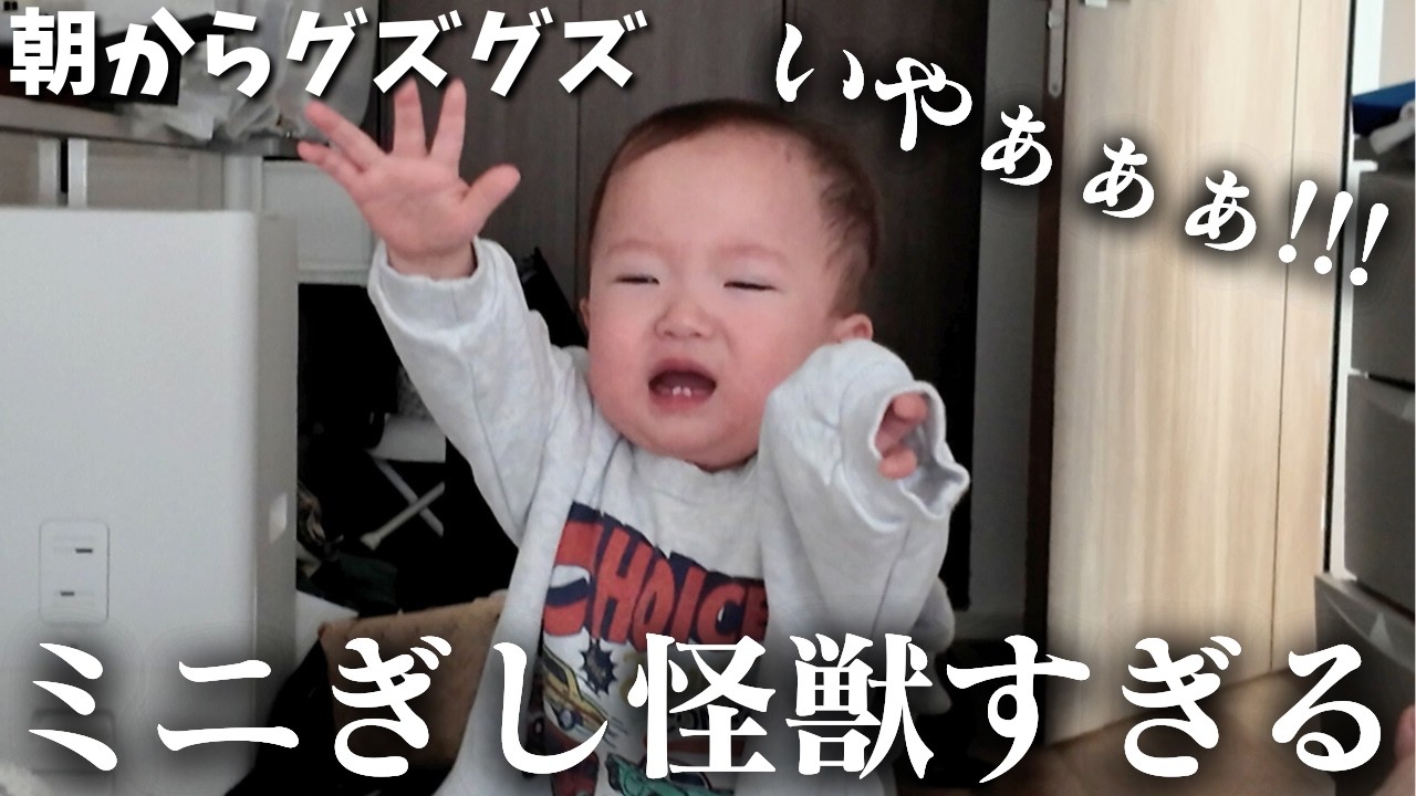 ミニぎしのグズグズ期が大変すぎるけど可愛いが勝ってしまった