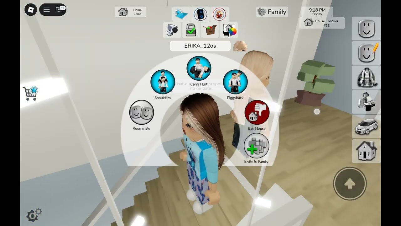 Eu SI sora mea
