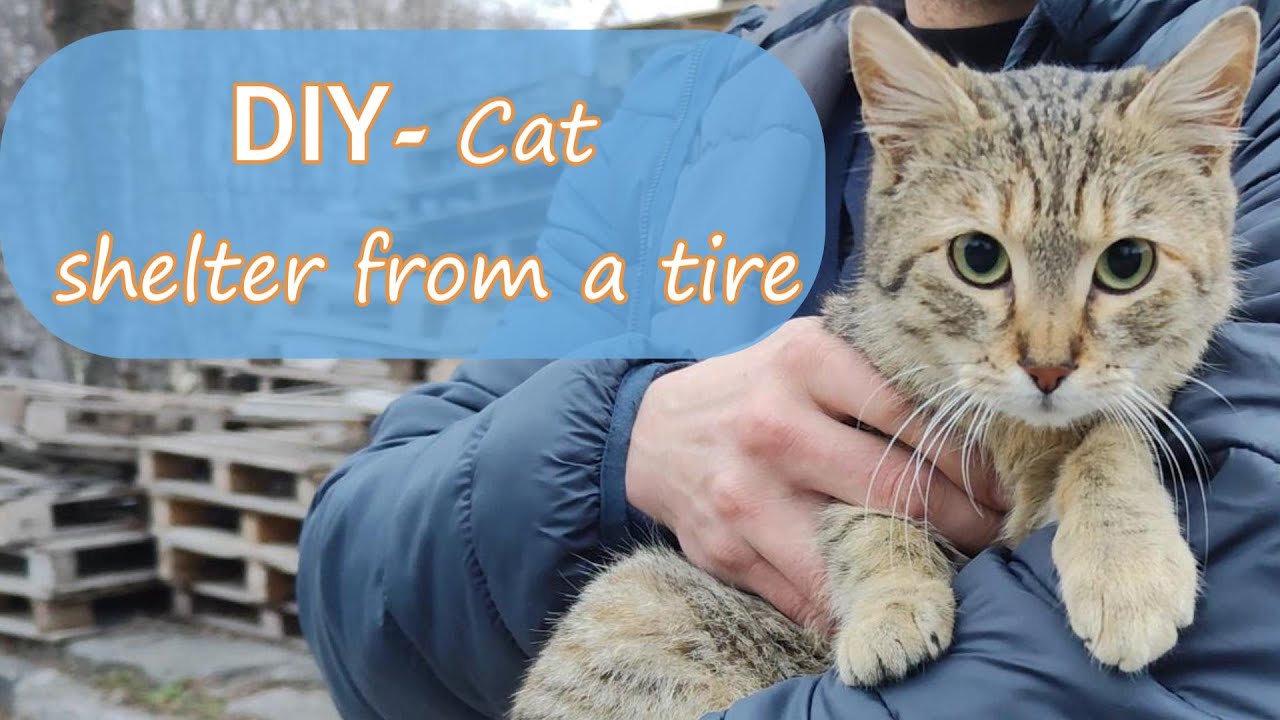 Prototype project for an old tire - DIY Cat shelter