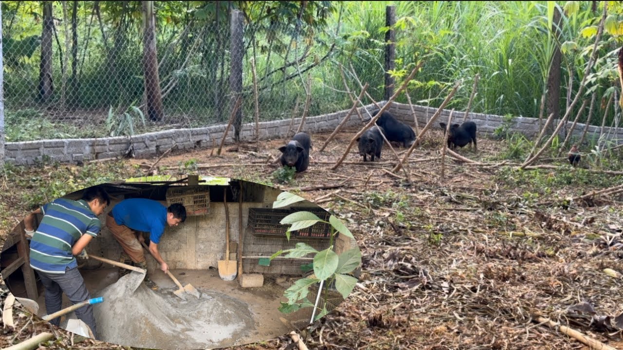 How to make a trough for pigs/ Lyhien family farm