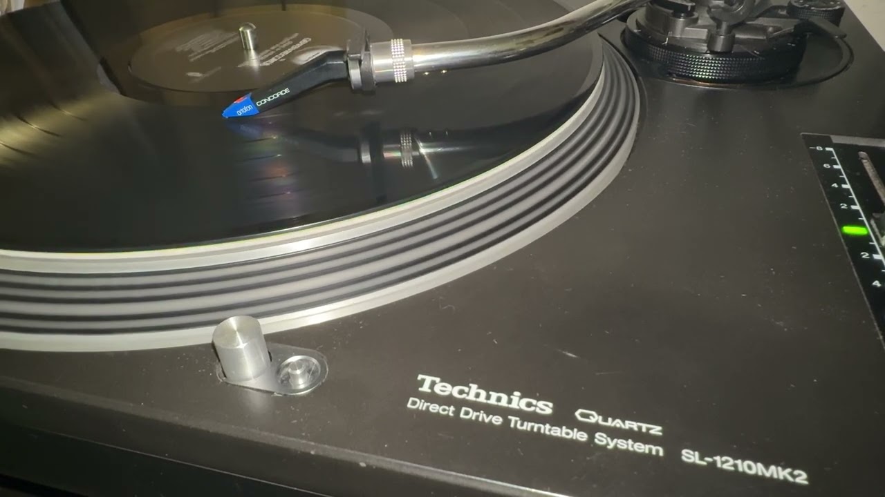 Guns and Roses - Paradise city(vinyl record)