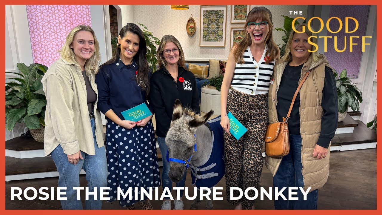 Rosie The Miniature Donkey | The Royal Agricultural Winter Fair 2025 | The Good Stuff with Mary Berg