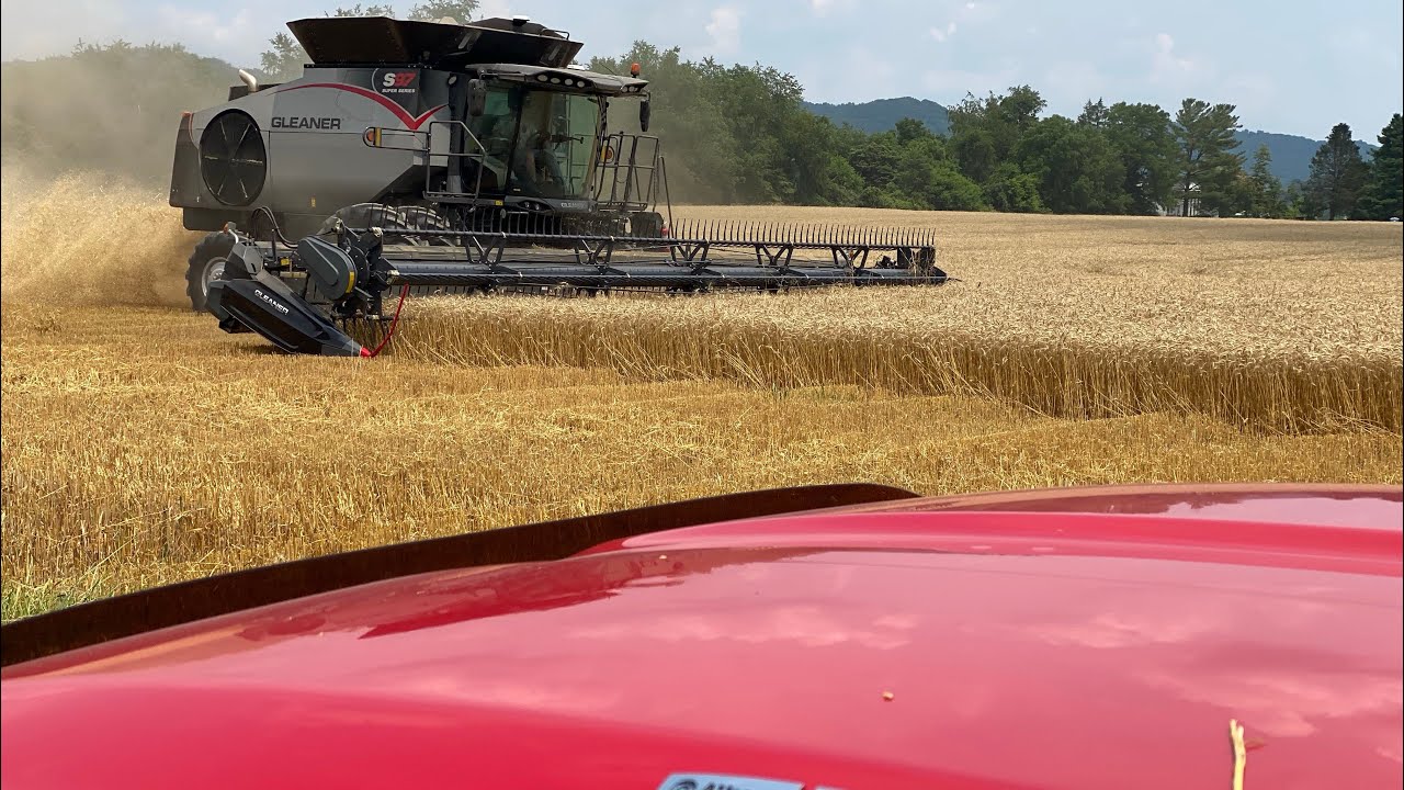 So just how Good is our New Gleaner Combine? Let’s check