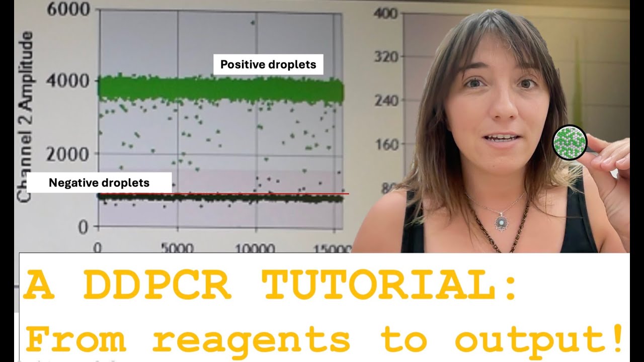 Учебное пособие по ddPCR: от расчета реагентов до считывания результатов в режиме реального времени!