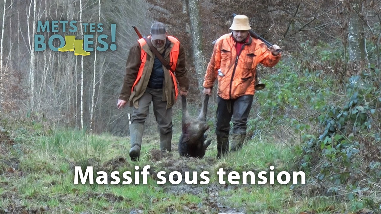 Montagne de Reims : l’équilibre du massif est-il en train de basculer ?