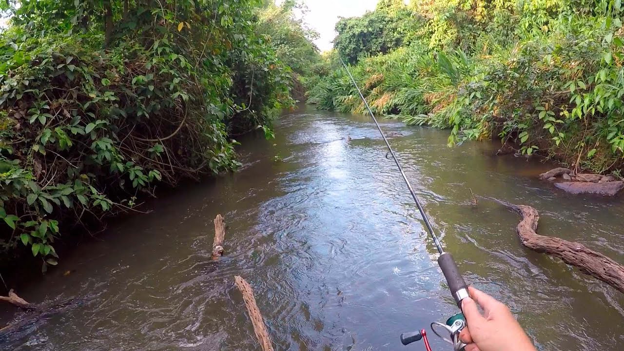 TABARANA no RIBEIRÃO - pescando dentro da água, tenho que fazer de novo!!!