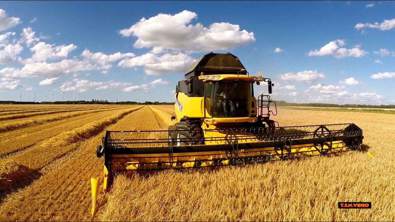 Noordam ten Have, In de wintergerst met New Holland CX 8080.