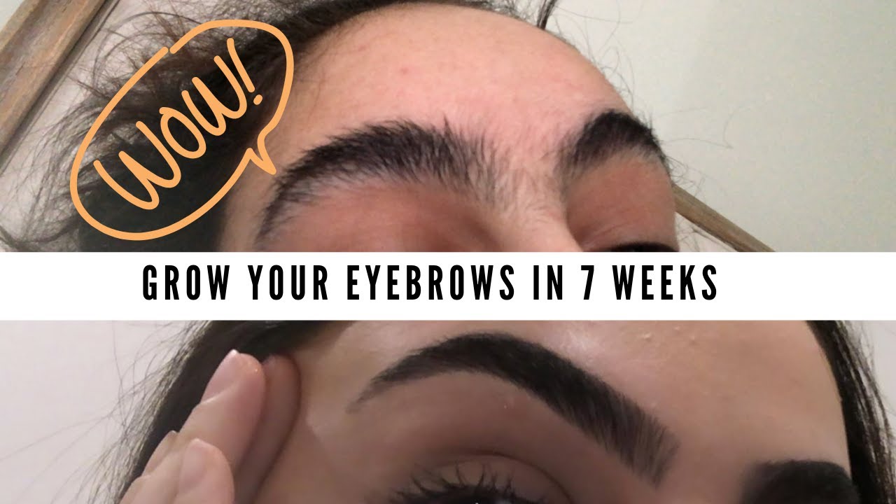 HOW TO GROW OUT YOUR EYEBROWS FAST | NATURAL |NICOLE MADI