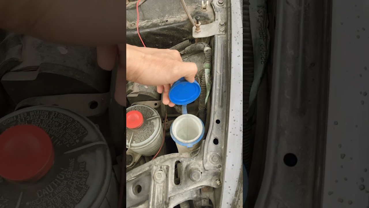 check it like a lube tech for $1 | love your civic vlog 1 #youtube #civic #shorts #dadtimes