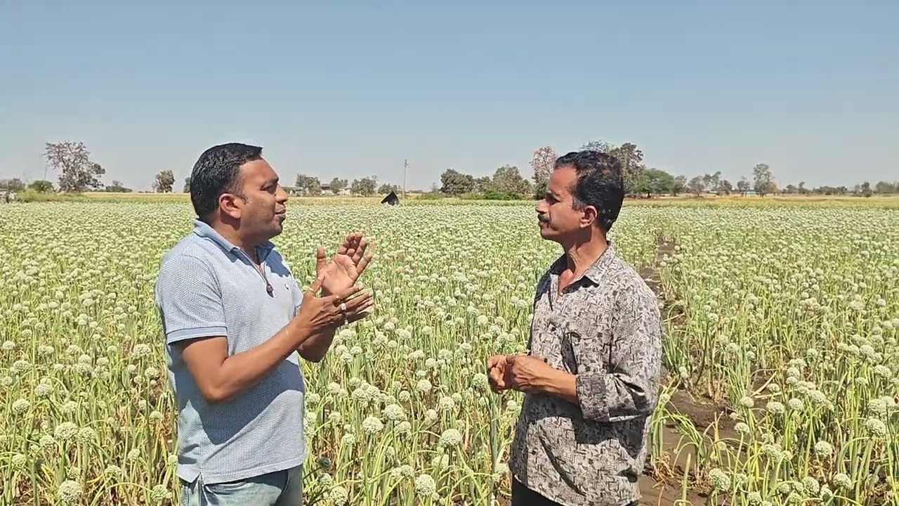 प्याज के बीज की खेती से होगा किसान मालामाल 