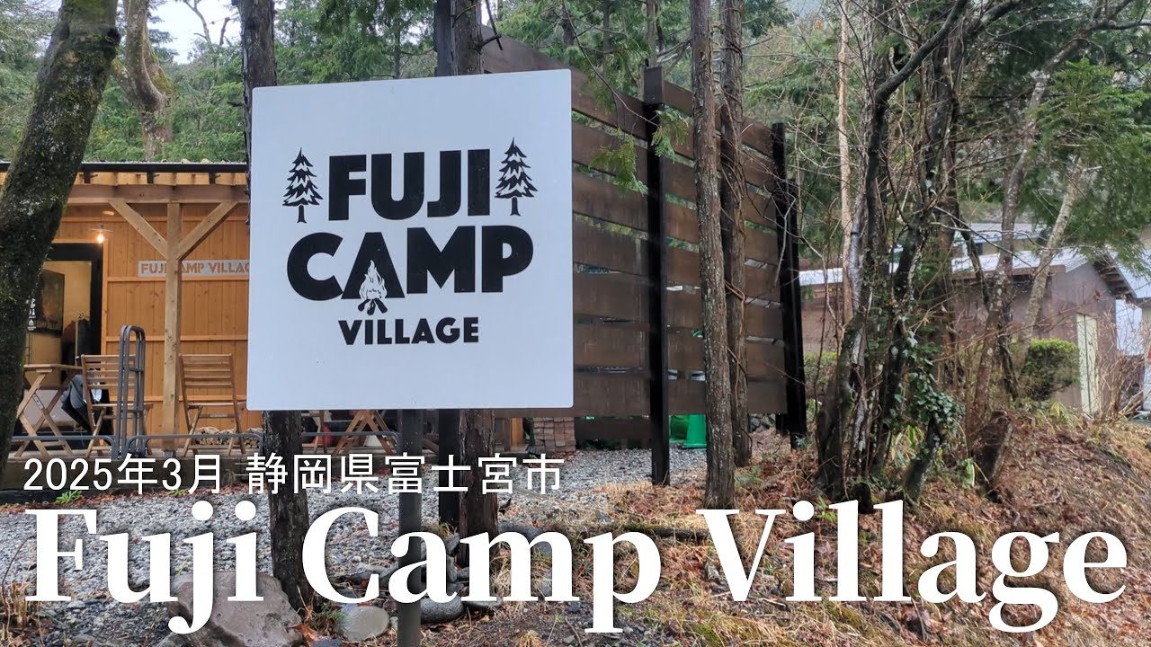 【静岡県富士宮】202504 Fuji Camp Village カンゾウとユキノシタをみつけました。カンゾウを食べました。
