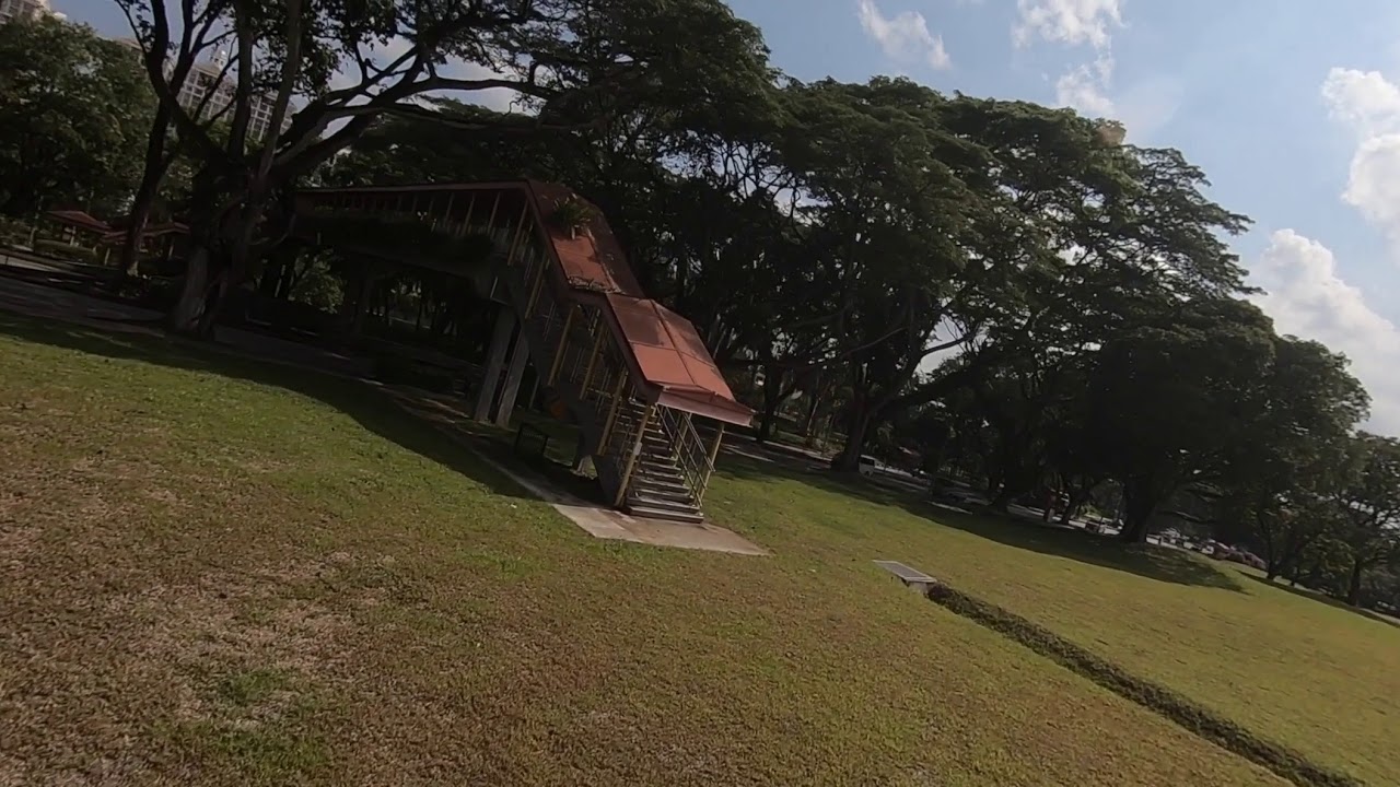 Smoothness shootout Video #1 - ReelSteady Go