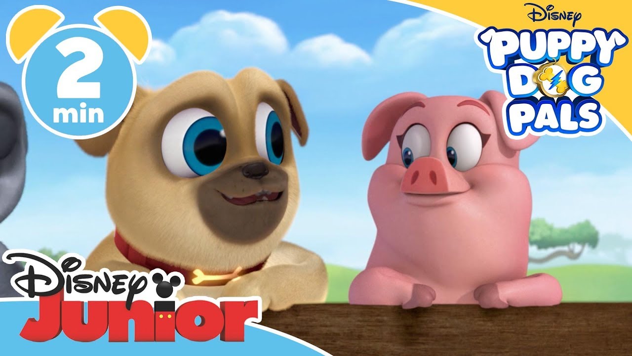 Puppy Dog Pals | Muddy Pups | @disneykids