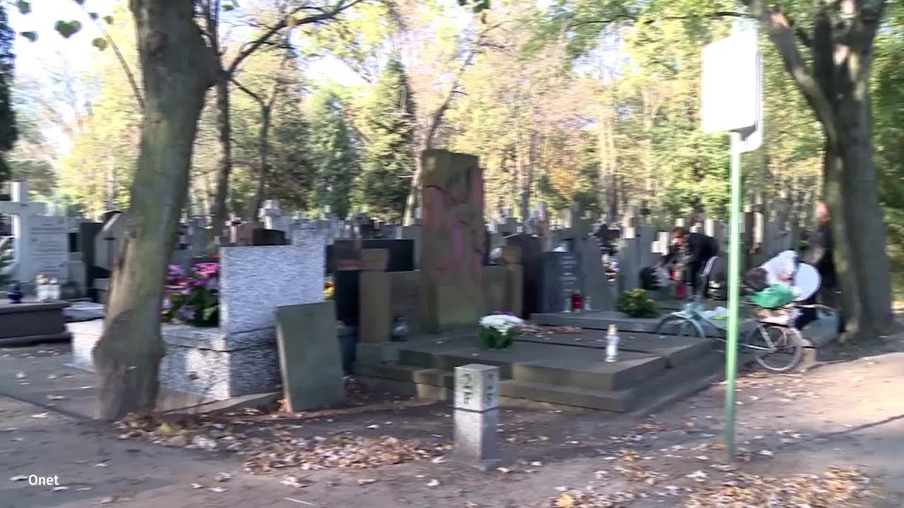 Jak i czym najłatwiej wyczyścić nagrobek? | Onet100