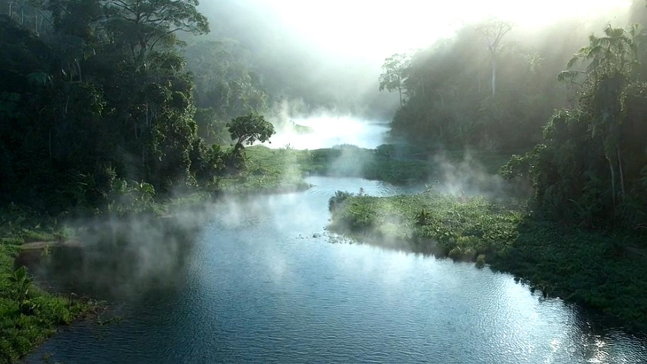 Jungle Lake Meditation (20 Minutes) | 4/6 Breathing Intro | Nature Sounds