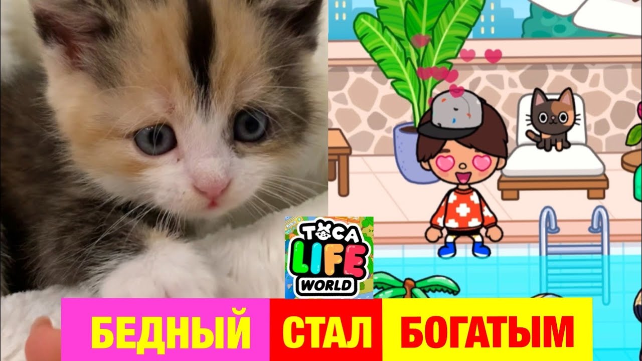 БЕДНЫЙ Спасённый КОТЁНОК СТАЛ БОГАТЫМ в ТОКА БОКА 😿🍼💎💰 Toca Life World