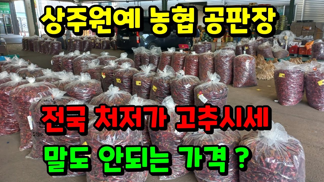 품질 좋은 최상급 고추를 최저가로 판매하는 농산물 공판장