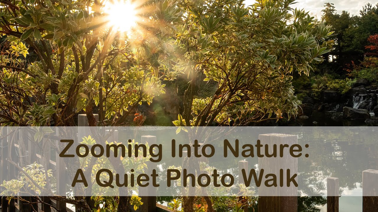 Zoom Lens Photography in Nature - Photo Walk Highlights