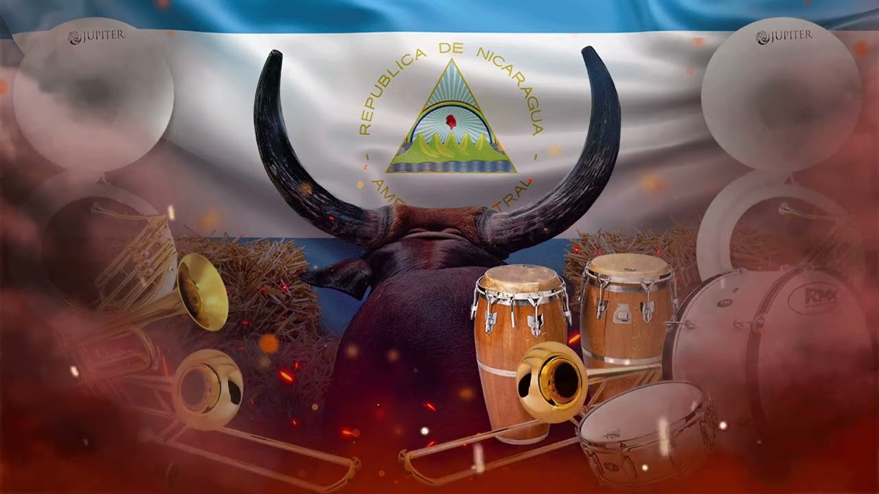 SON DE TOROS ALEGRE 