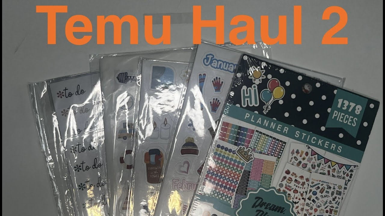Destiny Plans - Temu Haul 2 - Planner Stickers Review