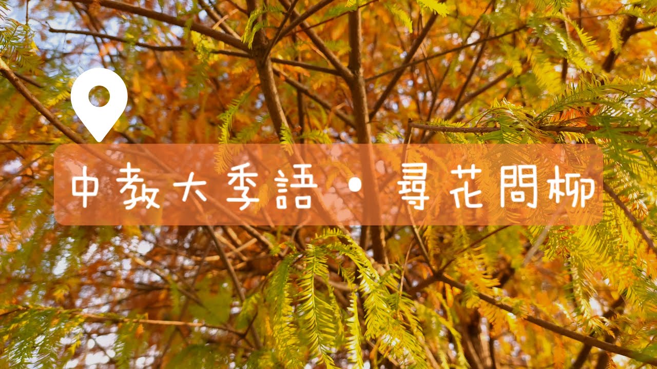 中教大季語 &bull; 尋花問柳