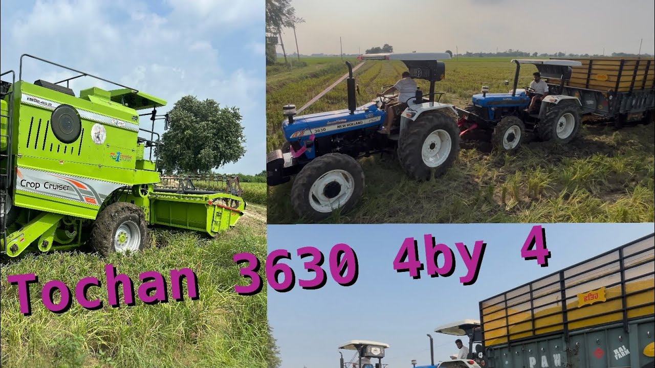 Rice 🌾 1509 tochan new holland 3630 4*4 