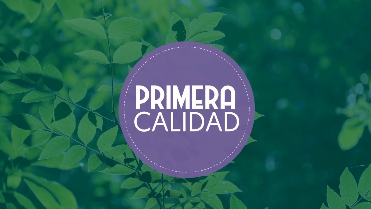 La S&uacute;per Bebida Chilena