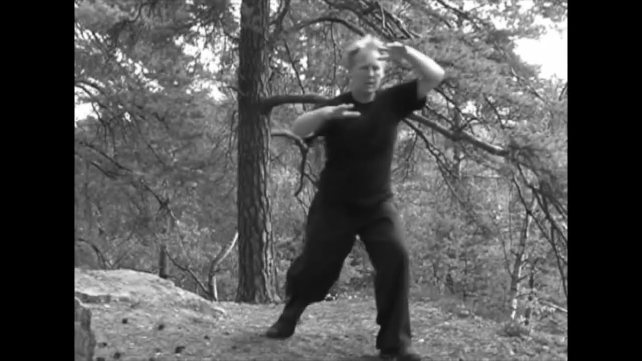 Taikiken kihon, complete set of movements, a kind of kihon to mold the mind/body to master the Feel.