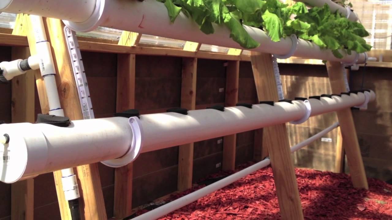 Keeping Your Hydroponic Plants Cool