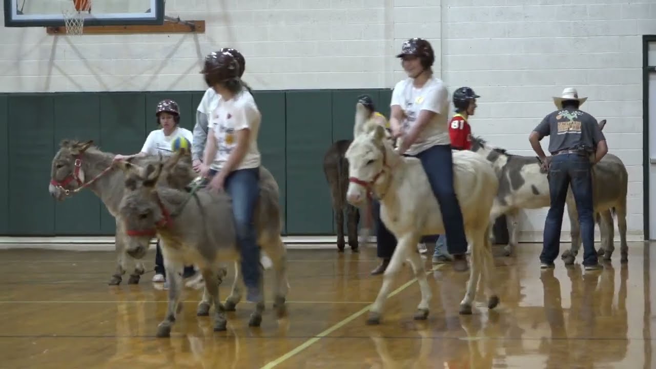 Creek Valley Schools Host Donkey Basketball