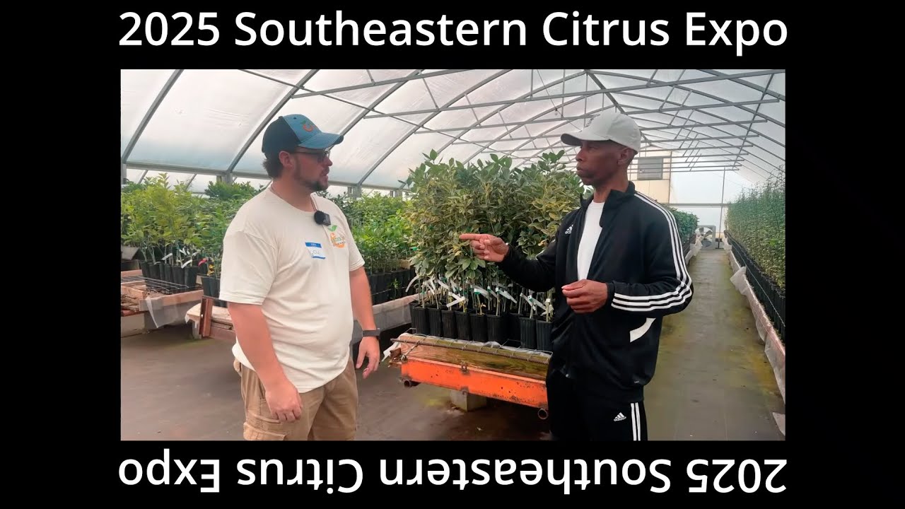Exclusive Access! @madisoncitrusnursery Tour with Lou & Growing Out The Box!