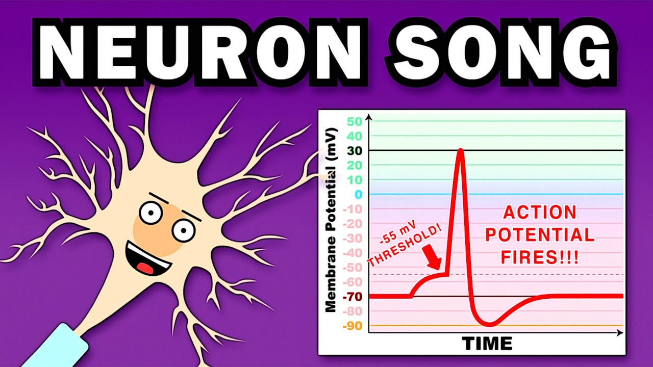 PIEŚŃ NEURONOWA
