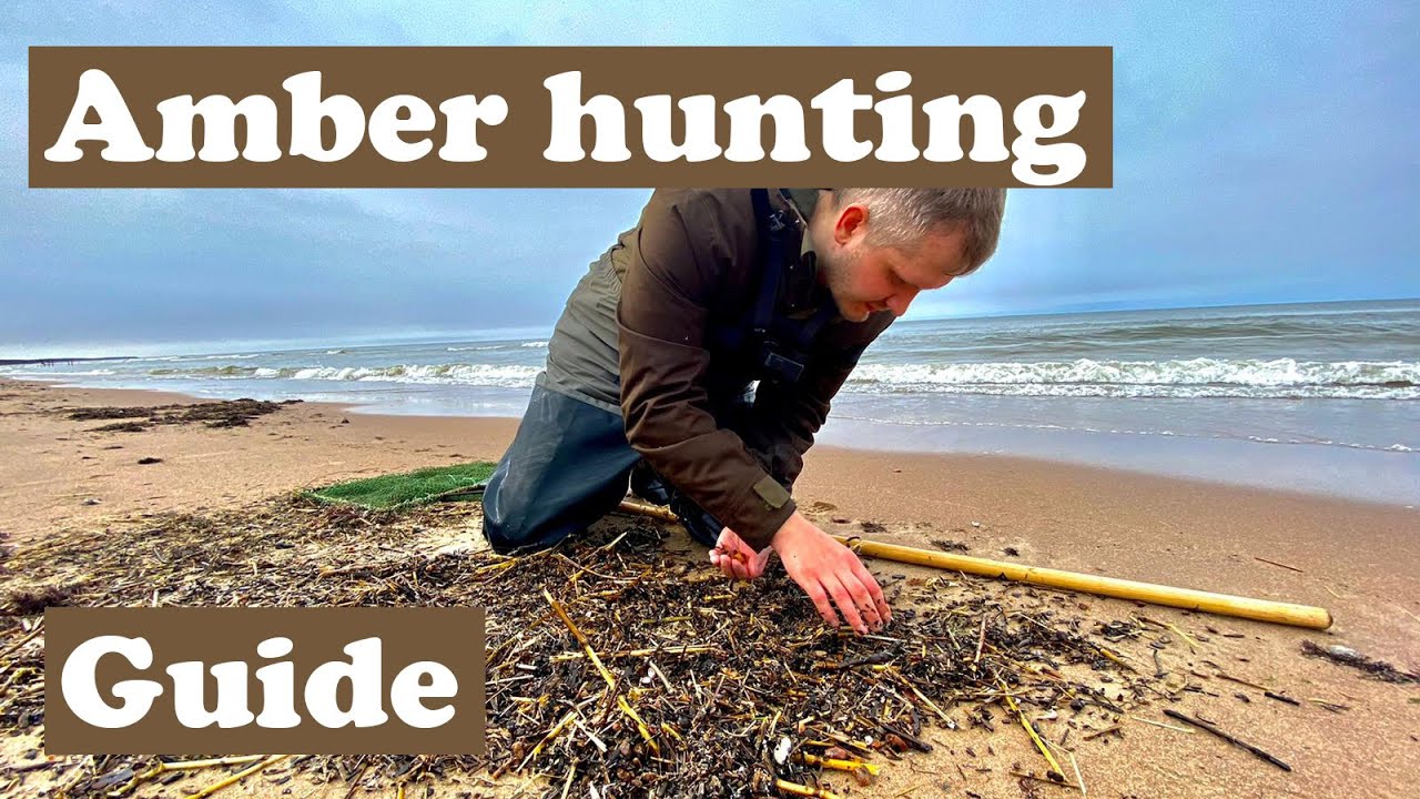 Как найти балтийский янтарь в Балтийском море — Amberhunting
