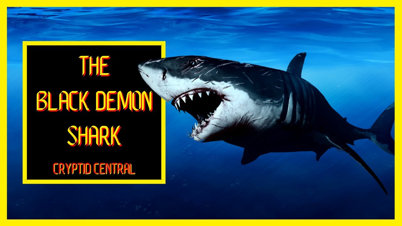 The Black Demon Shark - A Short Documentary (2022)