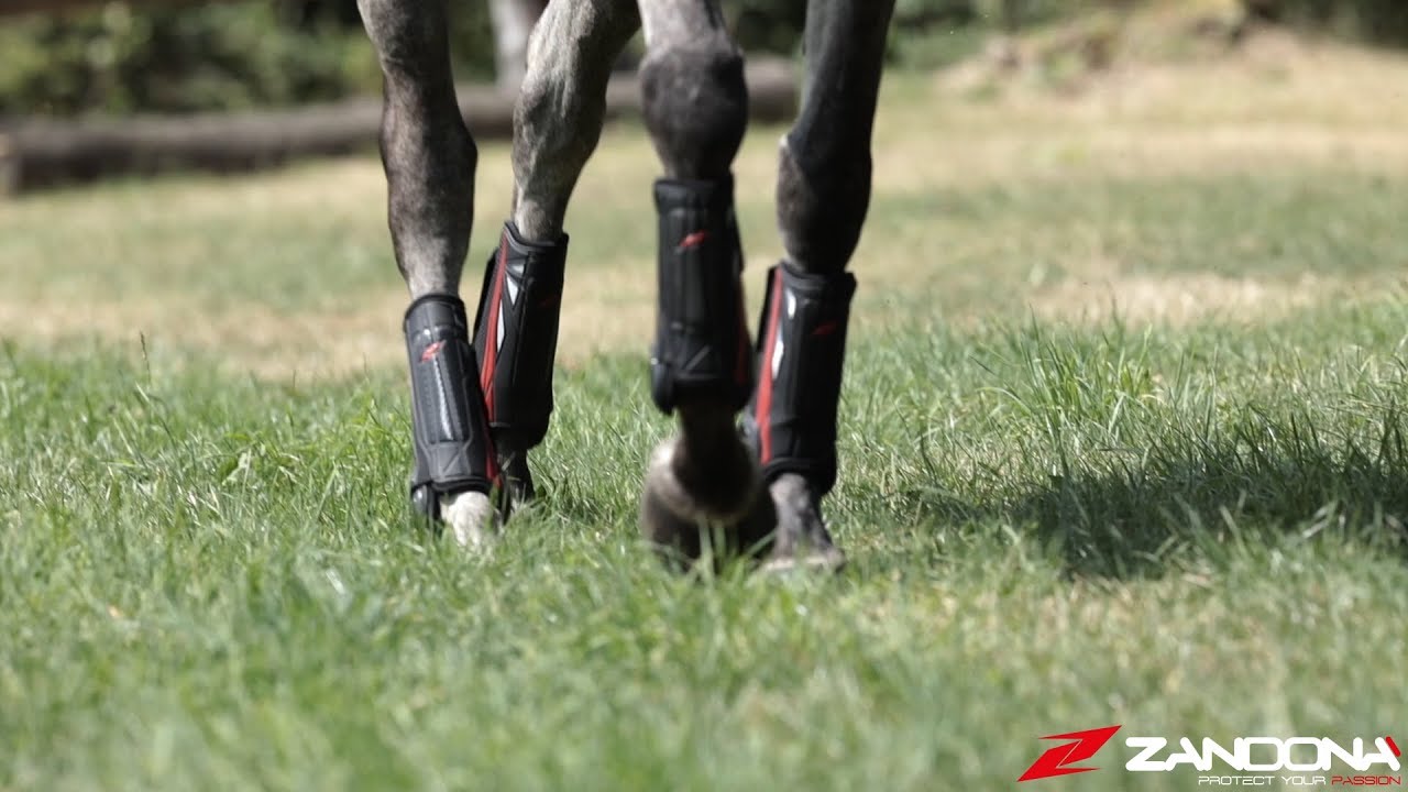CARBON AIR X-COUNTRY: the ultimate Cross-Country Horse Boots experience